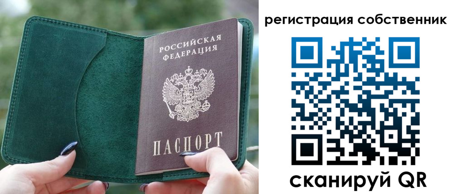 регистрация для школы в Сосновом Бору